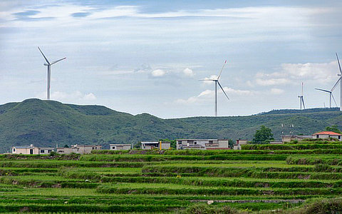 浙江：新增风光8GW+，以竞配方式推动省管海域风电“应开尽开”