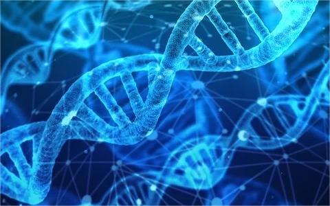 中国基因编辑育种行业分析