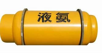 详情