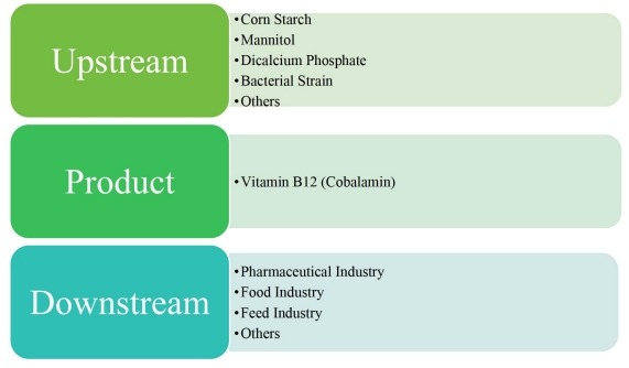 维生素B12（钴胺素）价值链分析