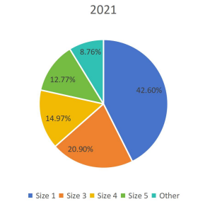 2021年按类型划分的全球足球生产市场份额（%）