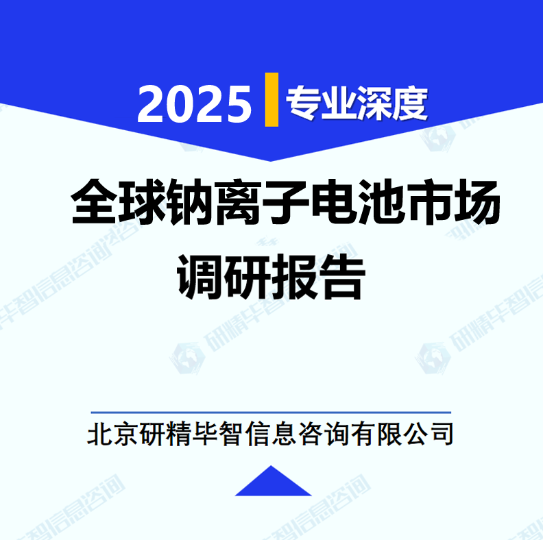 全球钠离子电池市场调研报告