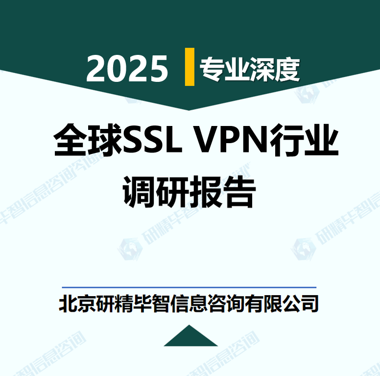 全球SSL VPN行业数据及市场调研分析报告
