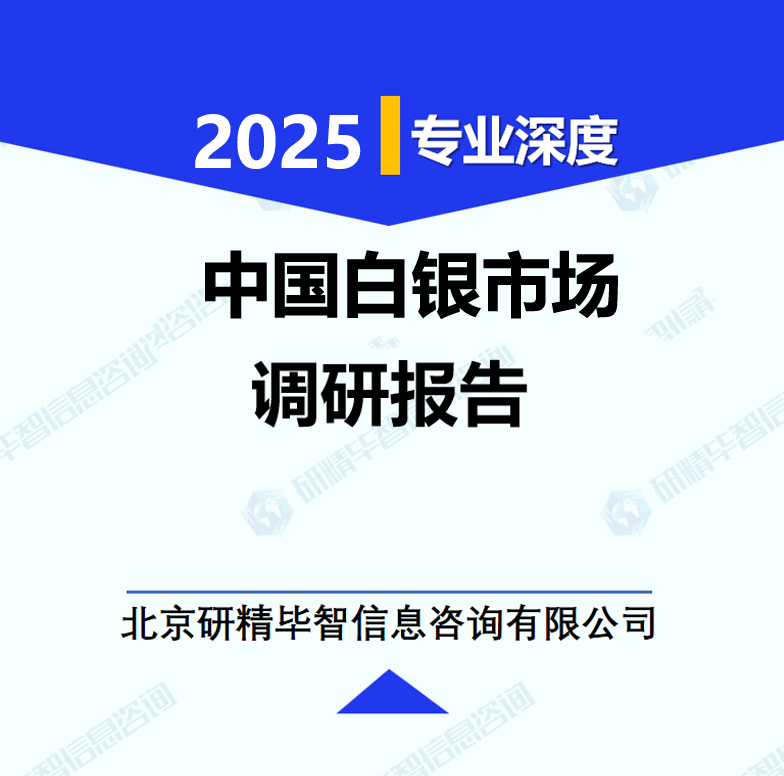 中国白银市场调研报告