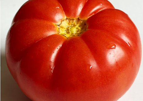 全球西红柿行业全链条整合与贸易新格局