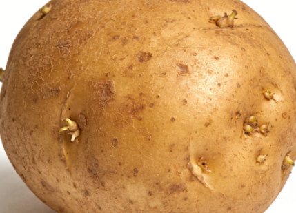 全球土豆产业市场格局与市场消费结构深度解析