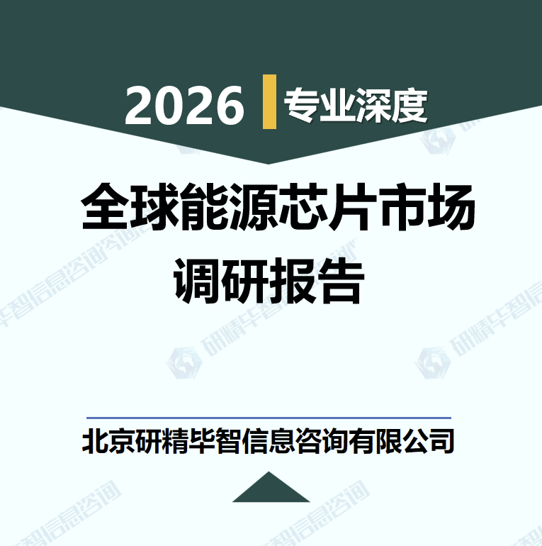 2025-2030年全球能源芯片市场调研与投资机遇研究报告