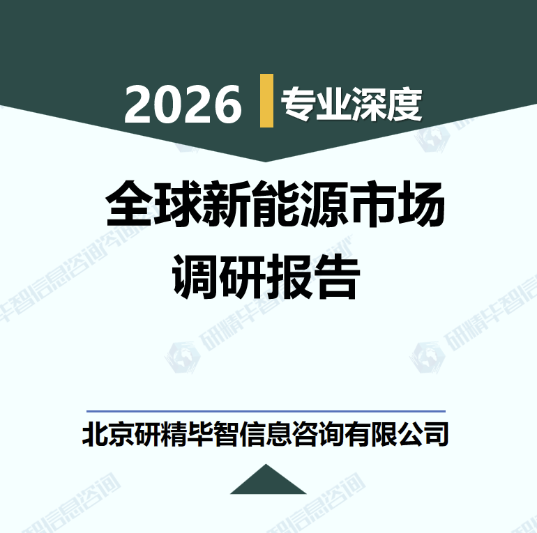 2025-2030年全球新能源市场趋势与投资战略指南研究报告