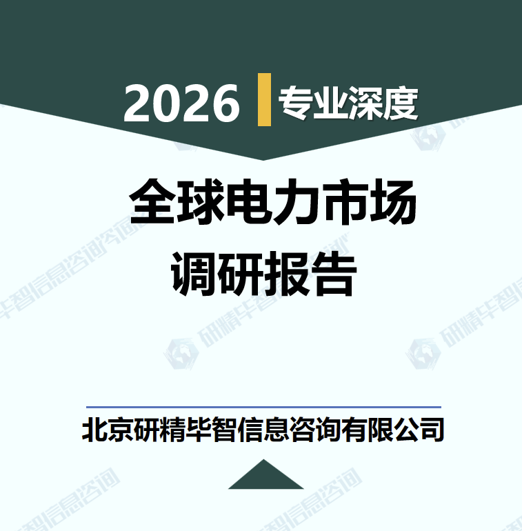2026-2030年全球电力供需格局重构与竞争态势分析研究报告