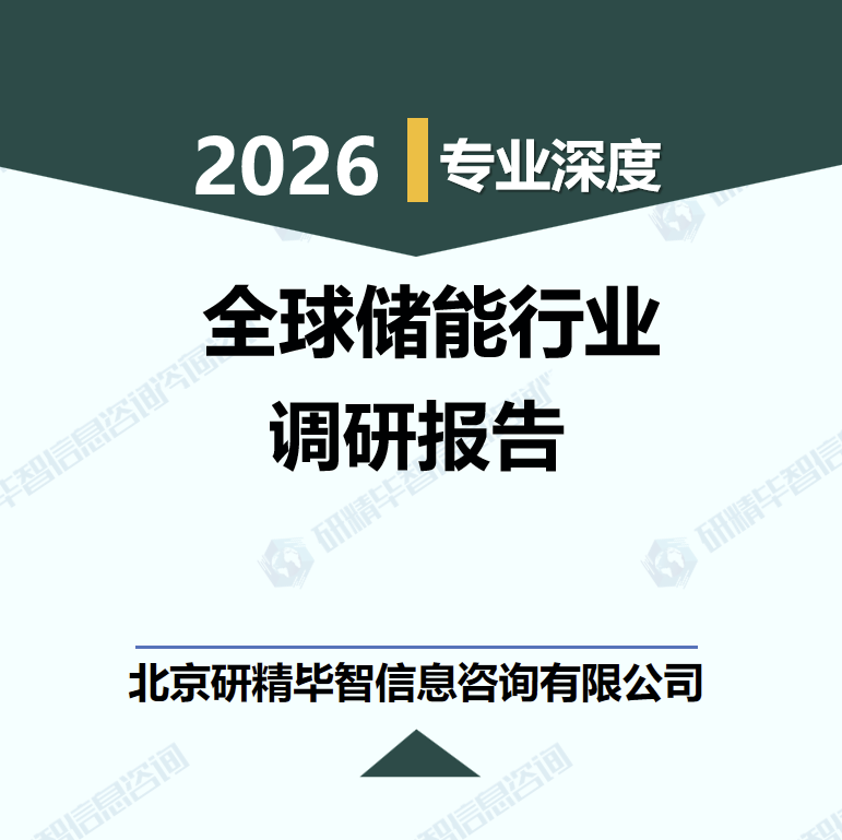 2026-2030年全球储能行业发展趋势与投资机会调研报告