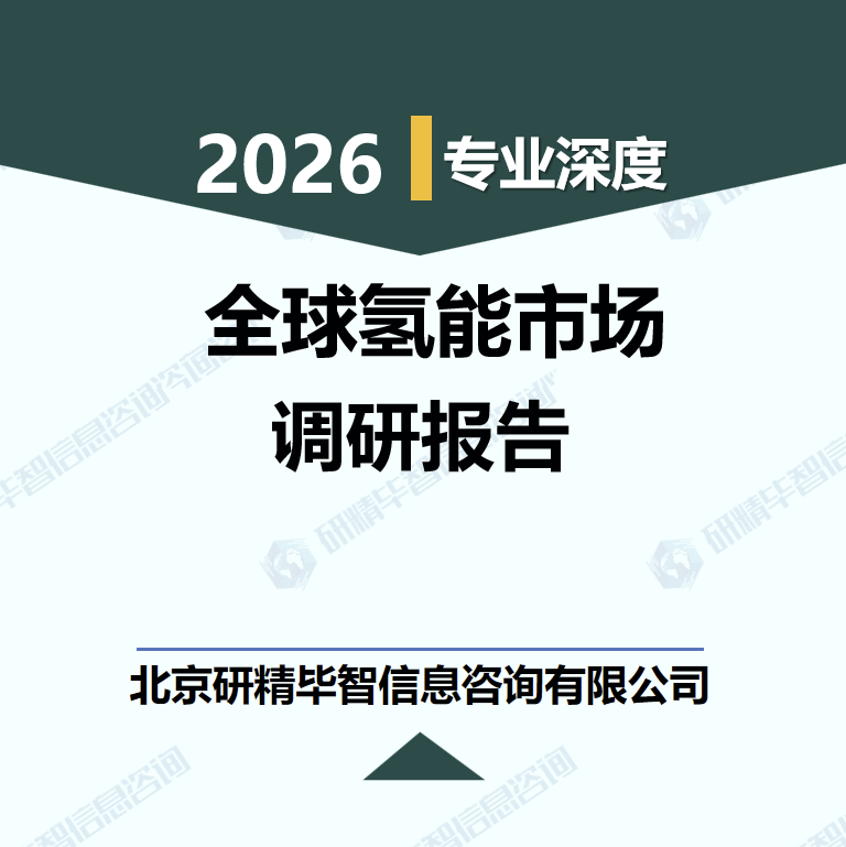 2026-2030年全球氢能市场盈利逻辑与投资机会研究报告