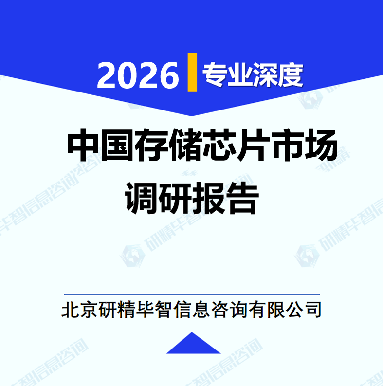 中国存储芯片市场调研报告