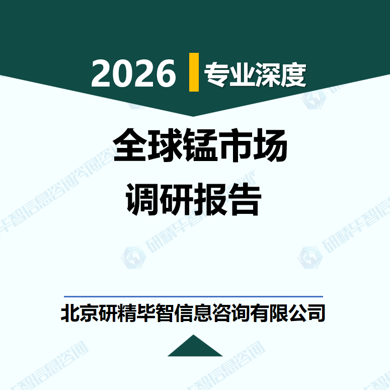 2026-2032年全球锰市场进口依赖与价格波动研究报告