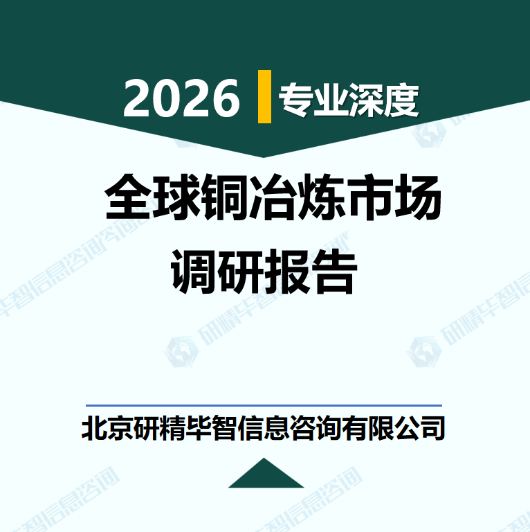 2026-2030年全球铜冶炼市场行业发展现状及投资机会研究报告