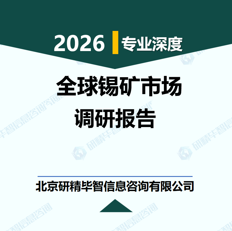 2026-2032年全球锡矿市场供需格局与投资机遇研究报告