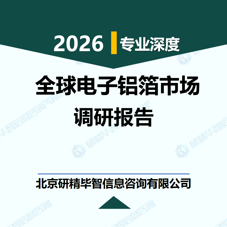 2026-2033年全球电子铝箔市场供需格局与发展前景预测研究报告